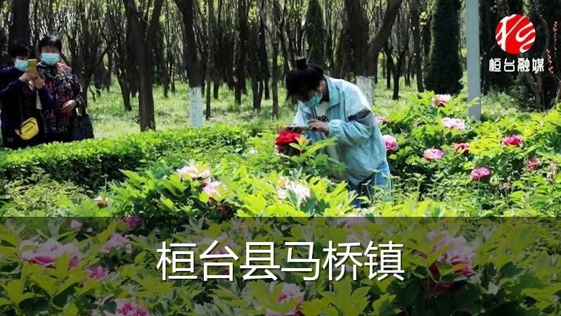 桓台县马桥镇